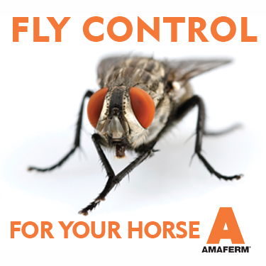 Fly Control with Tags