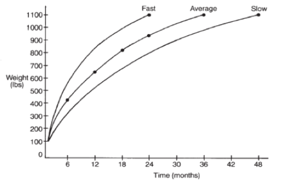 Foal Nutrition