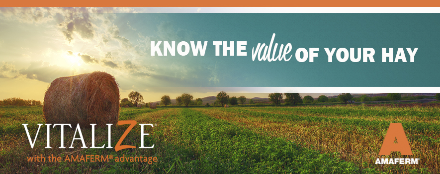 hayvalue-header-sept2015