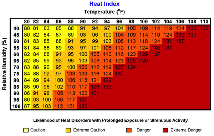 Understanding Heat Stress in Horses - Vitalize