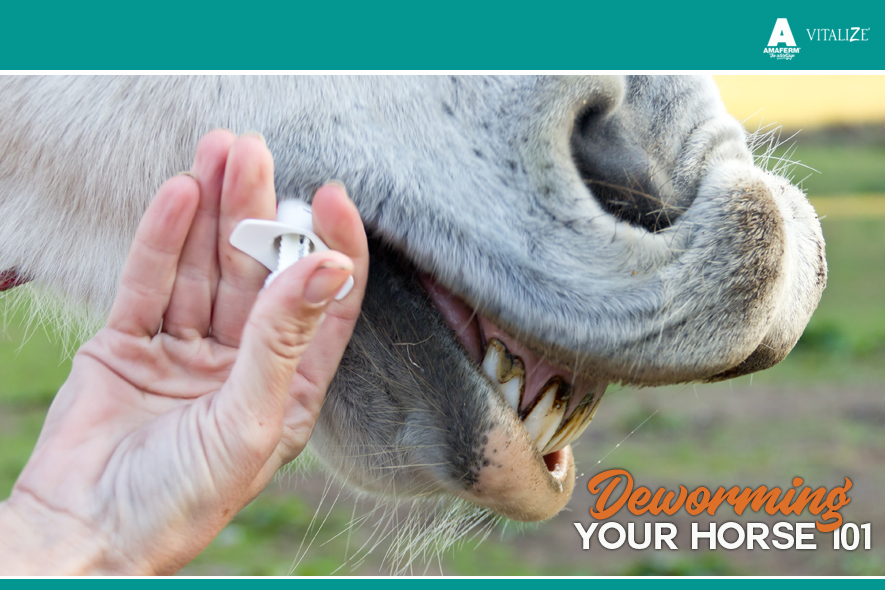 Deworming Your Horse 101 Vitalize
