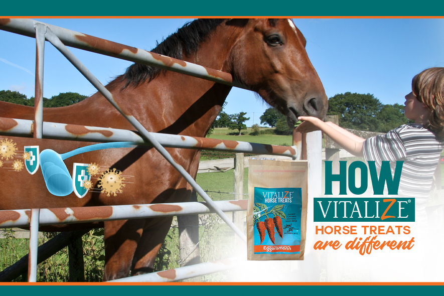 Vitalize Horse Treats Offer Added Digestive Support Vitalize