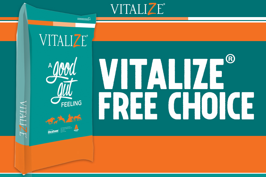 Vitalize® Equine Free Choice Mineral - Vitalize