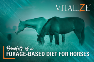 Benefits of a Forage-Based Diet For Horses