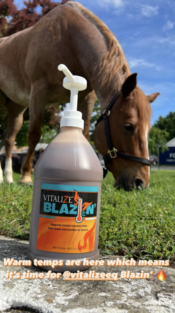 Signs of Heat Stress in Horses Vitalize Blazin electrolyte in horses 