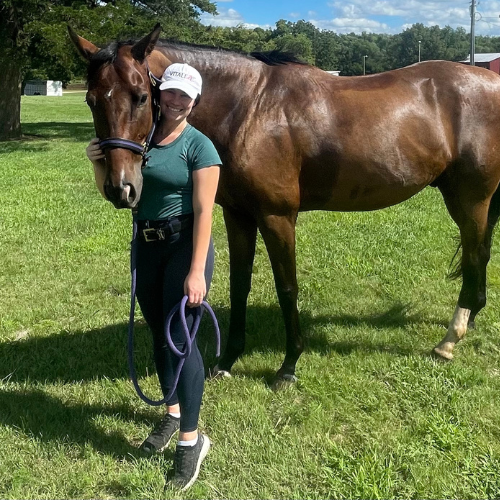 Understanding NSC Content in Horse Feed and Supplements, Horse Feeds, Slow Horse Feeds 