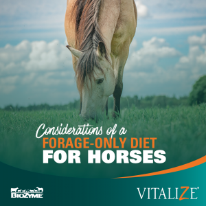forage-only diet for horses