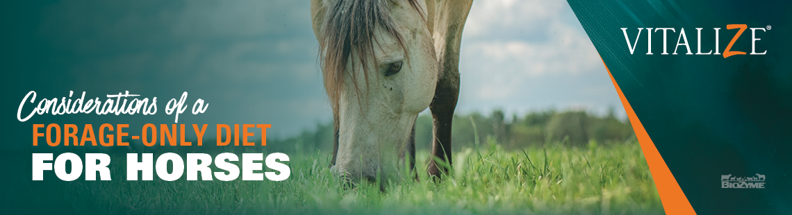 forage-only diet for horses