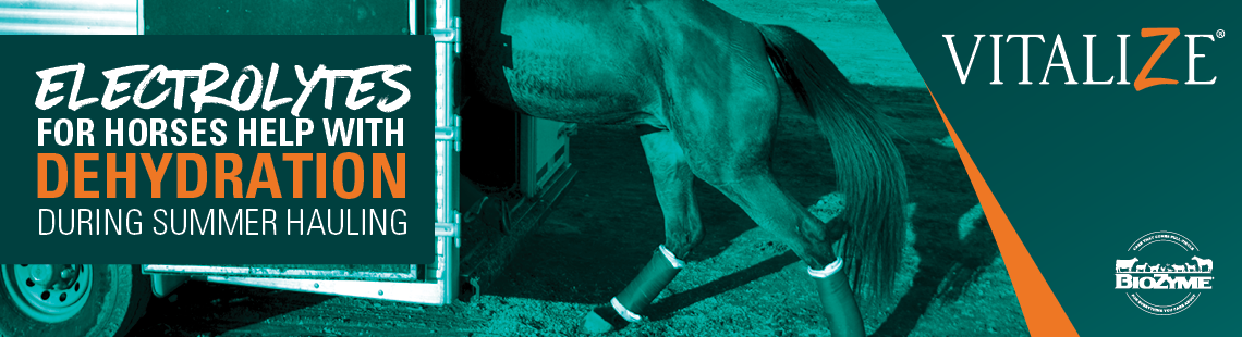 electrolytes for horses