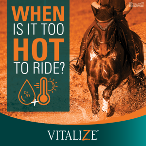 when is it too hot to ride a horse