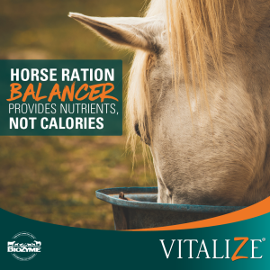 horse ration balancer