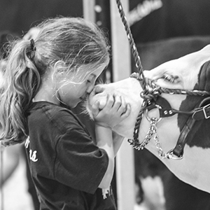 girl with cow