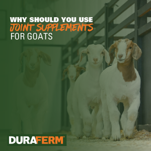 joint supplements for goats