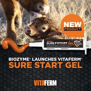 VitaFerm Sure Start Gel