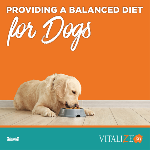 Balanced Diet for Dogs 